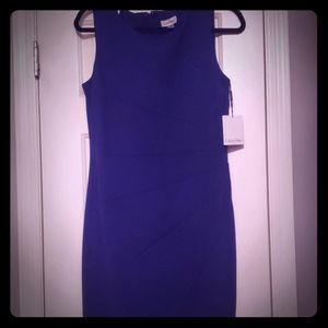 Calvin Klein Dress